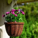 Blomsterampel | mørk naturpil | ⌀28cm  thumbnail