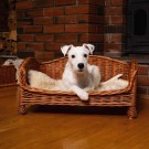 Dyreseng Trollkonge L | flettet av pil | 63x44x33cm thumbnail