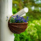 Veggpotte | mørk naturpil | ⌀28cm thumbnail