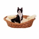 Dyreseng Troll M | flettet av pil | 67x50x17cm thumbnail