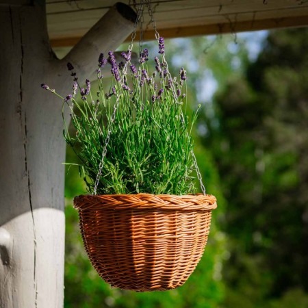 Blomsterampel | naturpil | ⌀27cm 
