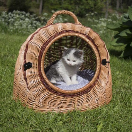 Hund og Katt